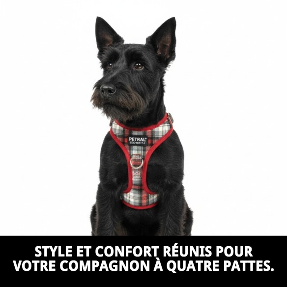 Petral Écossais T-1 20-30*1,5 : Style et Confort pour Votre Animal de Compagnie