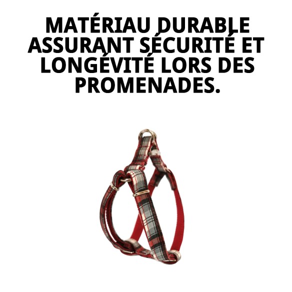 Petral Écossais T-1 20-30*1,5 : Style et Confort pour Votre Animal de Compagnie