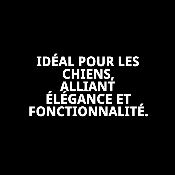 Petral Écossais T-1 20-30*1,5 : Style et Confort pour Votre Animal de Compagnie