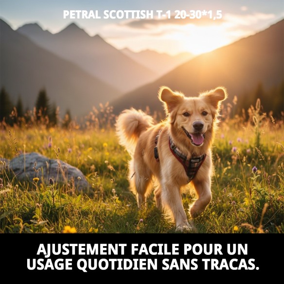 Petral Écossais T-1 20-30*1,5 : Style et Confort pour Votre Animal de Compagnie