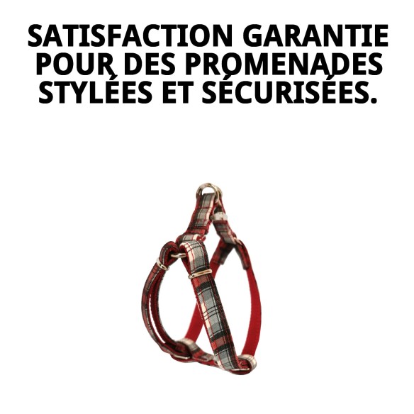 Petral Écossais T-1 20-30*1,5 : Style et Confort pour Votre Animal de Compagnie