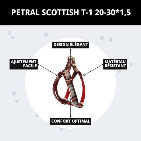 Petral Écossais T-1 20-30*1,5 : Style et Confort pour Votre Animal de Compagnie
