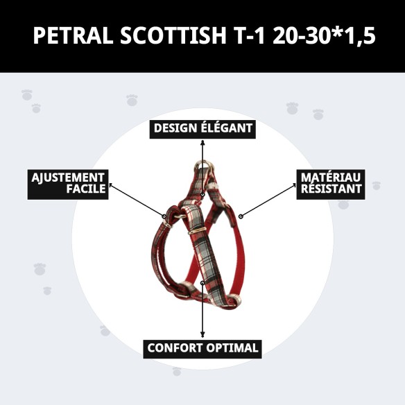 Petral Écossais T-1 20-30*1,5 : Style et Confort pour Votre Animal de Compagnie
