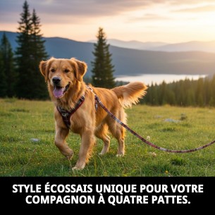 Collier Écossais T-3 pour Animaux de Compagnie - Style et Confort 2