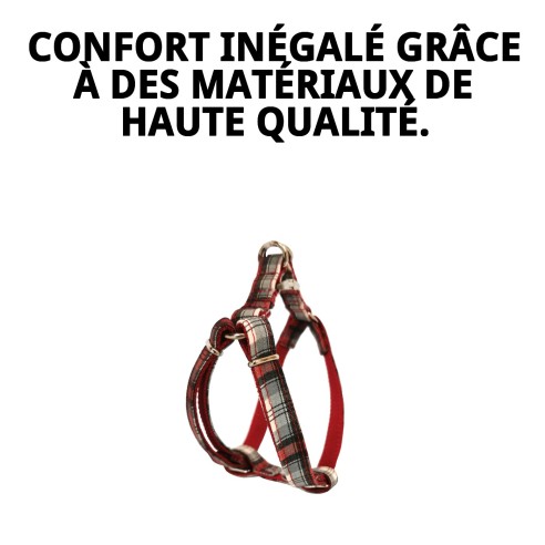 Collier Écossais T-3 pour Animaux de Compagnie - Style et Confort