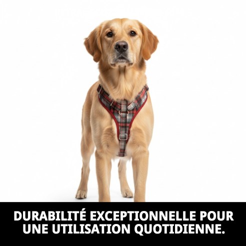 Collier Écossais T-3 pour Animaux de Compagnie - Style et Confort