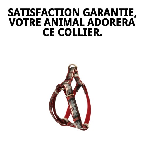 Collier Écossais T-3 pour Animaux de Compagnie - Style et Confort