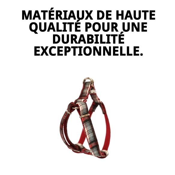 Petral Écossais T-5 : Style et Confort pour votre Animal de Compagnie