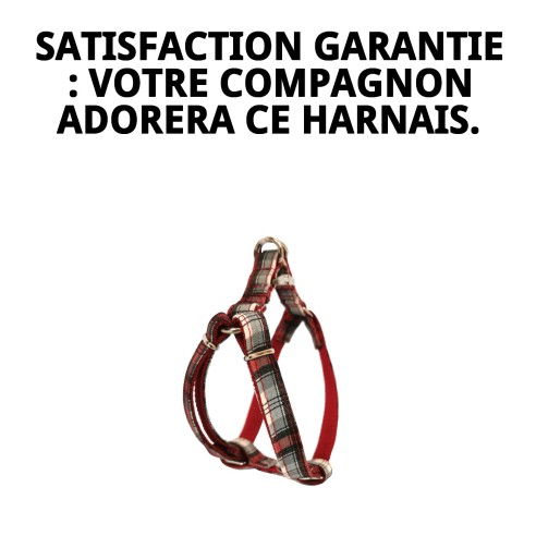 Petral Écossais T-5 : Style et Confort pour votre Animal de Compagnie