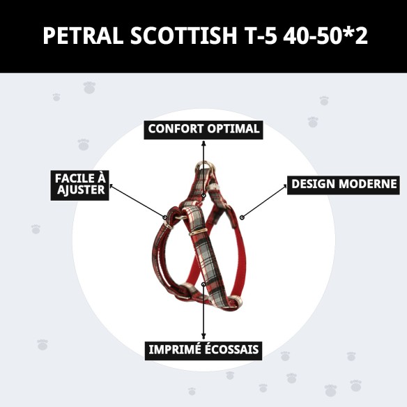 Petral Écossais T-5 : Style et Confort pour votre Animal de Compagnie
