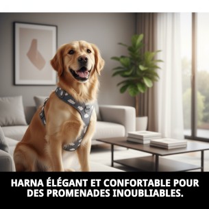 Petral Nube Gris T-1 20-30*1,5 pour votre animal de compagnie élégant. 2