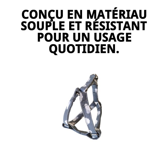 Petral Nube Gris T-1 20-30*1,5 pour votre animal de compagnie élégant.