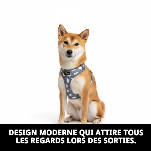 Petral Nube Gris T-1 20-30*1,5 pour votre animal de compagnie élégant.