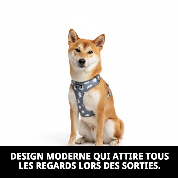 Petral Nube Gris T-1 20-30*1,5 pour votre animal de compagnie élégant.