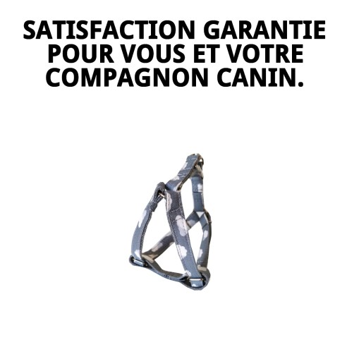 Petral Nube Gris T-1 20-30*1,5 pour votre animal de compagnie élégant.