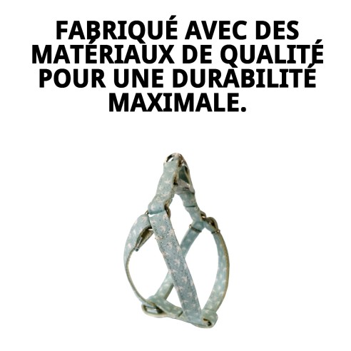 Arnés PETRAL GAVIOTAS T-1 20-30*1,5 pour votre animal de compagnie.