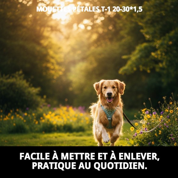 Arnés PETRAL GAVIOTAS T-1 20-30*1,5 pour votre animal de compagnie.