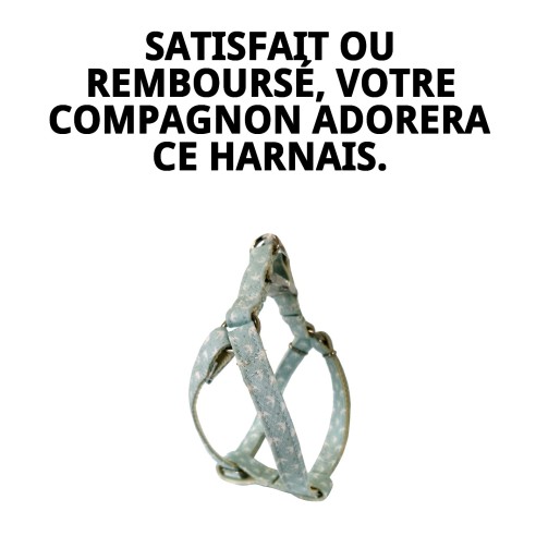 Arnés PETRAL GAVIOTAS T-1 20-30*1,5 pour votre animal de compagnie.