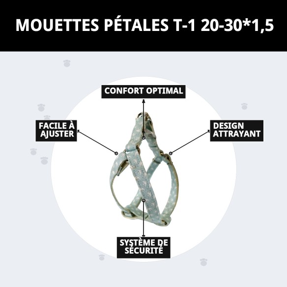 Arnés PETRAL GAVIOTAS T-1 20-30*1,5 pour votre animal de compagnie.