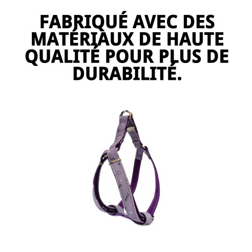 Petral Moly Lila T-1 pour Animaux de Compagnie - Confort et Style