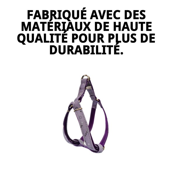 Petral Moly Lila T-1 pour Animaux de Compagnie - Confort et Style