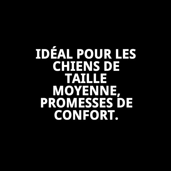 Petral Moly Lila T-1 pour Animaux de Compagnie - Confort et Style