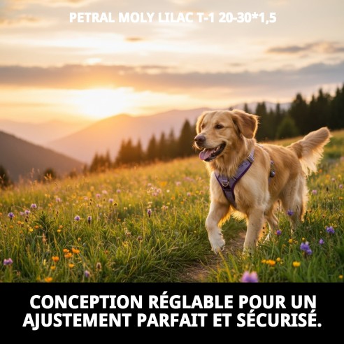 Petral Moly Lila T-1 pour Animaux de Compagnie - Confort et Style