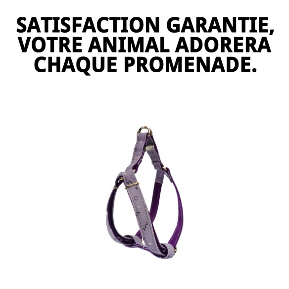 Petral Moly Lila T-1 pour Animaux de Compagnie - Confort et Style