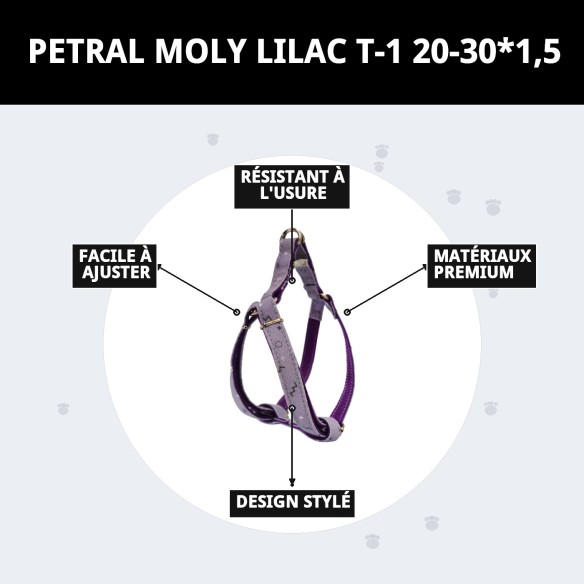 Petral Moly Lila T-1 pour Animaux de Compagnie - Confort et Style
