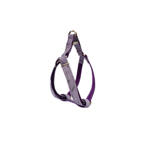 Petral Moly Lila T-3 pour Animaux - Taille 30-40 cm