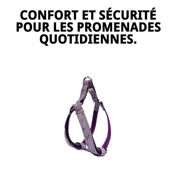 Petral Moly Lila T-3 pour Animaux - Taille 30-40 cm