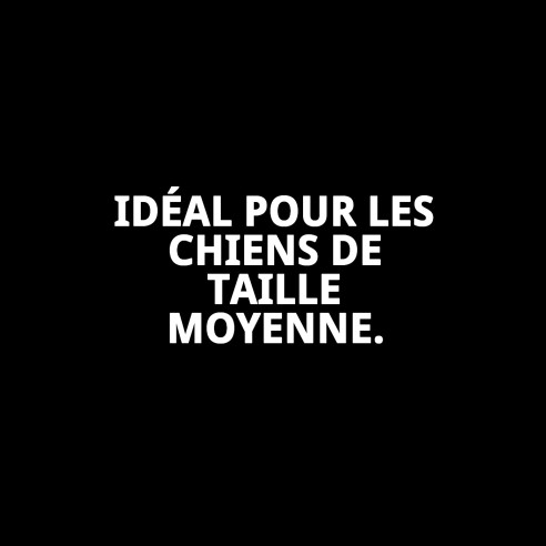 Petral Moly Lila T-3 pour Animaux - Taille 30-40 cm