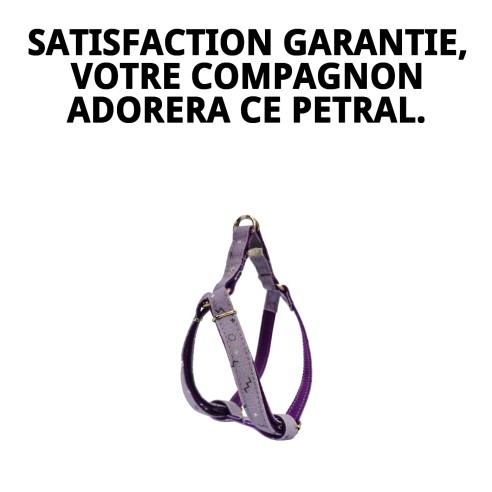 Petral Moly Lila T-3 pour Animaux - Taille 30-40 cm