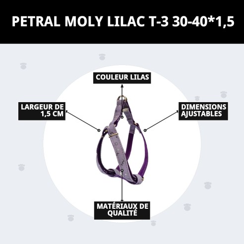 Petral Moly Lila T-3 pour Animaux - Taille 30-40 cm