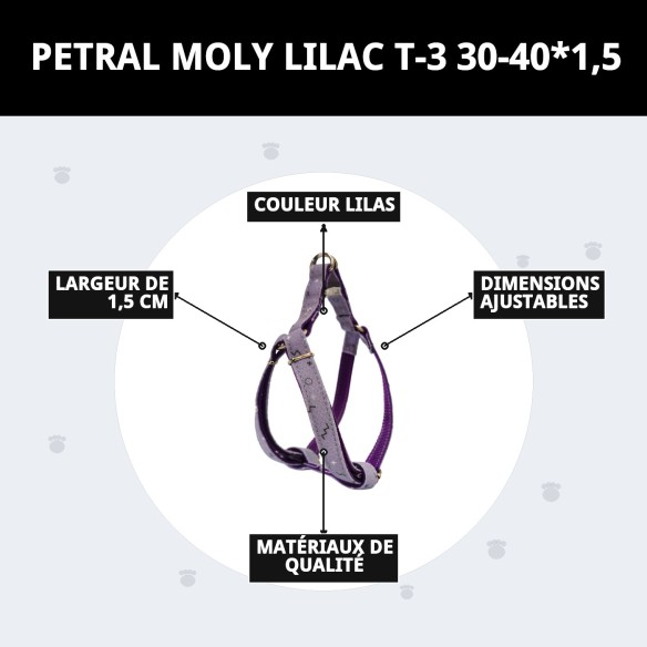 Petral Moly Lila T-3 pour Animaux - Taille 30-40 cm