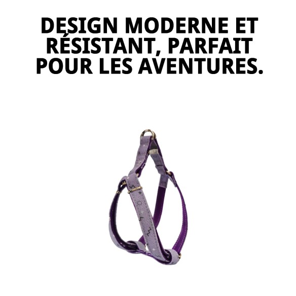 Petral Moly Lila T-5 pour animaux de compagnie 40-50 cm - Confort et style