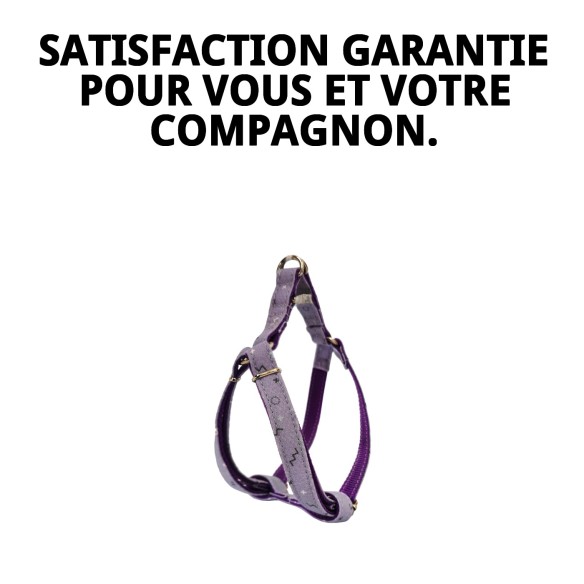 Petral Moly Lila T-5 pour animaux de compagnie 40-50 cm - Confort et style
