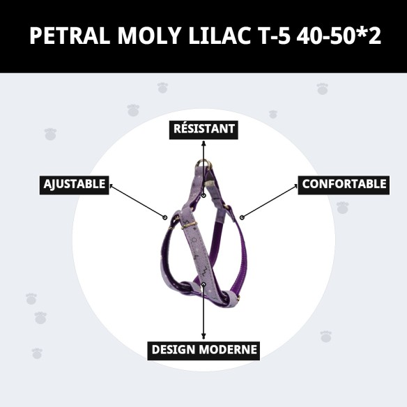 Petral Moly Lila T-5 pour animaux de compagnie 40-50 cm - Confort et style