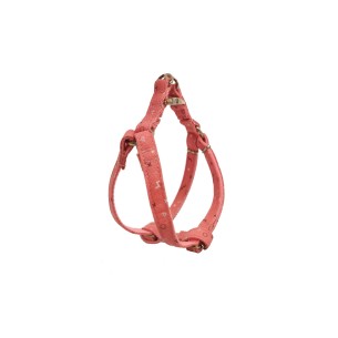 Petral Moly Salmon T-1 20-30*1,5 : Confort et Style pour Votre Animal de Compagnie