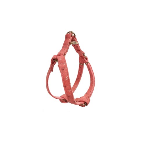 Petral Moly Salmon T-1 20-30*1,5 : Confort et Style pour Votre Animal de Compagnie