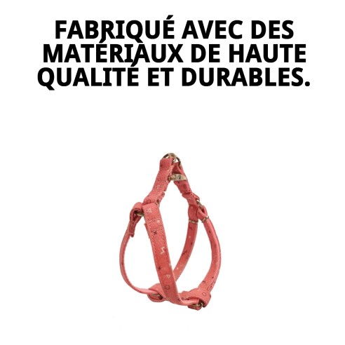 Petral Moly Salmon T-1 20-30*1,5 : Confort et Style pour Votre Animal de Compagnie