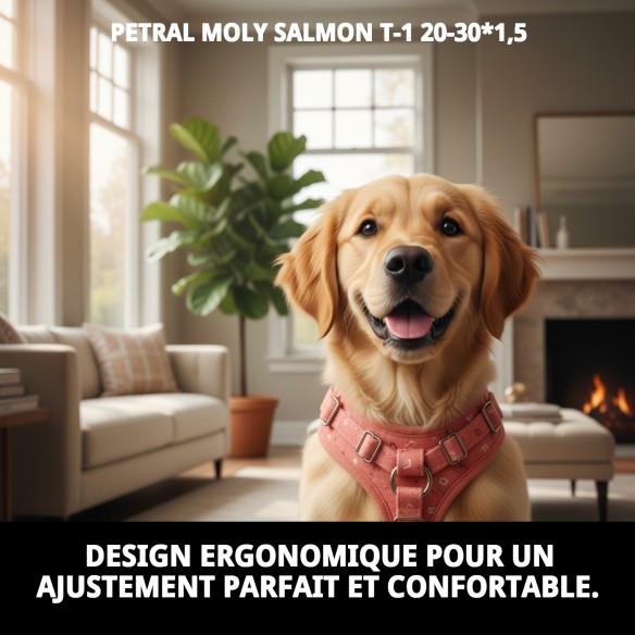 Petral Moly Salmon T-1 20-30*1,5 : Confort et Style pour Votre Animal de Compagnie
