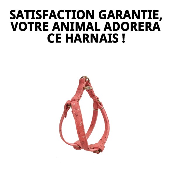 Petral Moly Salmon T-1 20-30*1,5 : Confort et Style pour Votre Animal de Compagnie