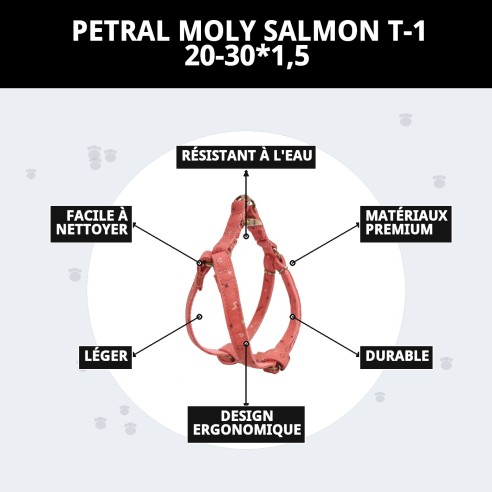 Petral Moly Salmon T-1 20-30*1,5 : Confort et Style pour Votre Animal de Compagnie