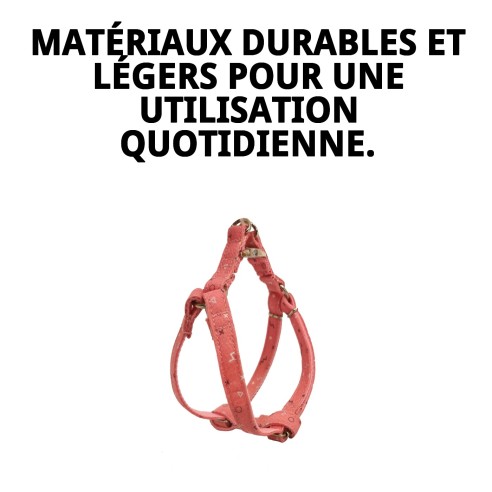 Petral Moly Saumon T-3 30-40 : Nutrition Premium pour Animaux de Compagnie