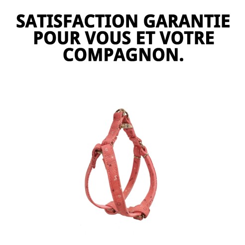 Petral Moly Saumon T-3 30-40 : Nutrition Premium pour Animaux de Compagnie