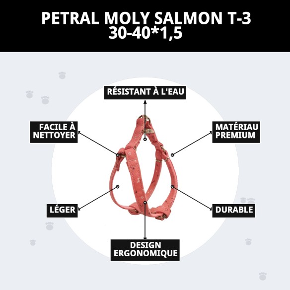 Petral Moly Saumon T-3 30-40 : Nutrition Premium pour Animaux de Compagnie