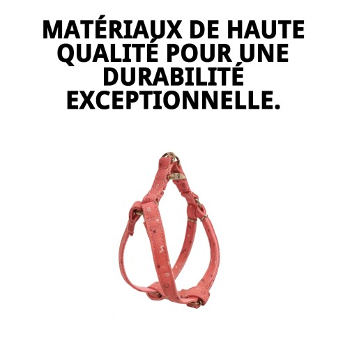 Petral Moly Saumon T-5 40-50*2 : Haute qualité pour votre animal de compagnie.