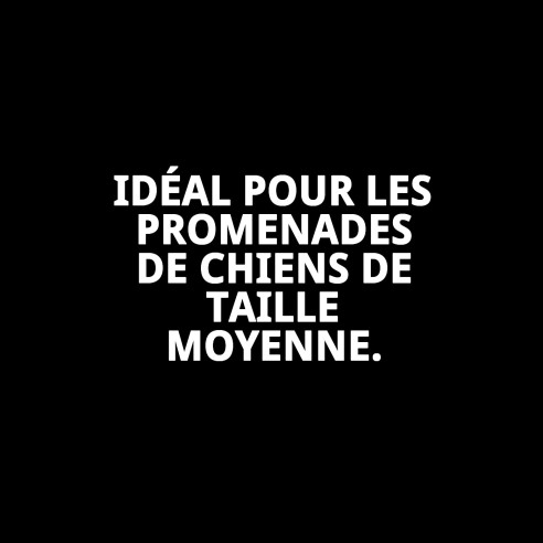 Petral Moly Saumon T-5 40-50*2 : Haute qualité pour votre animal de compagnie.