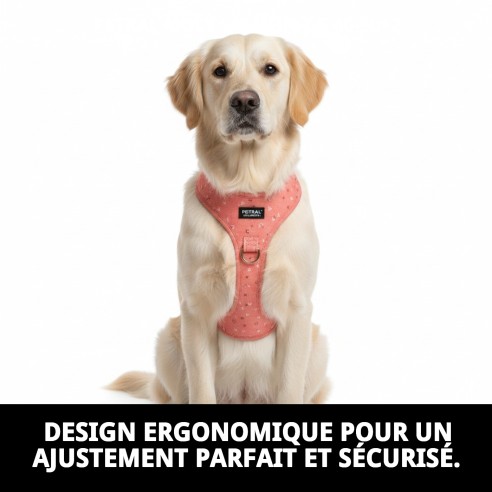 Petral Moly Saumon T-5 40-50*2 : Haute qualité pour votre animal de compagnie.